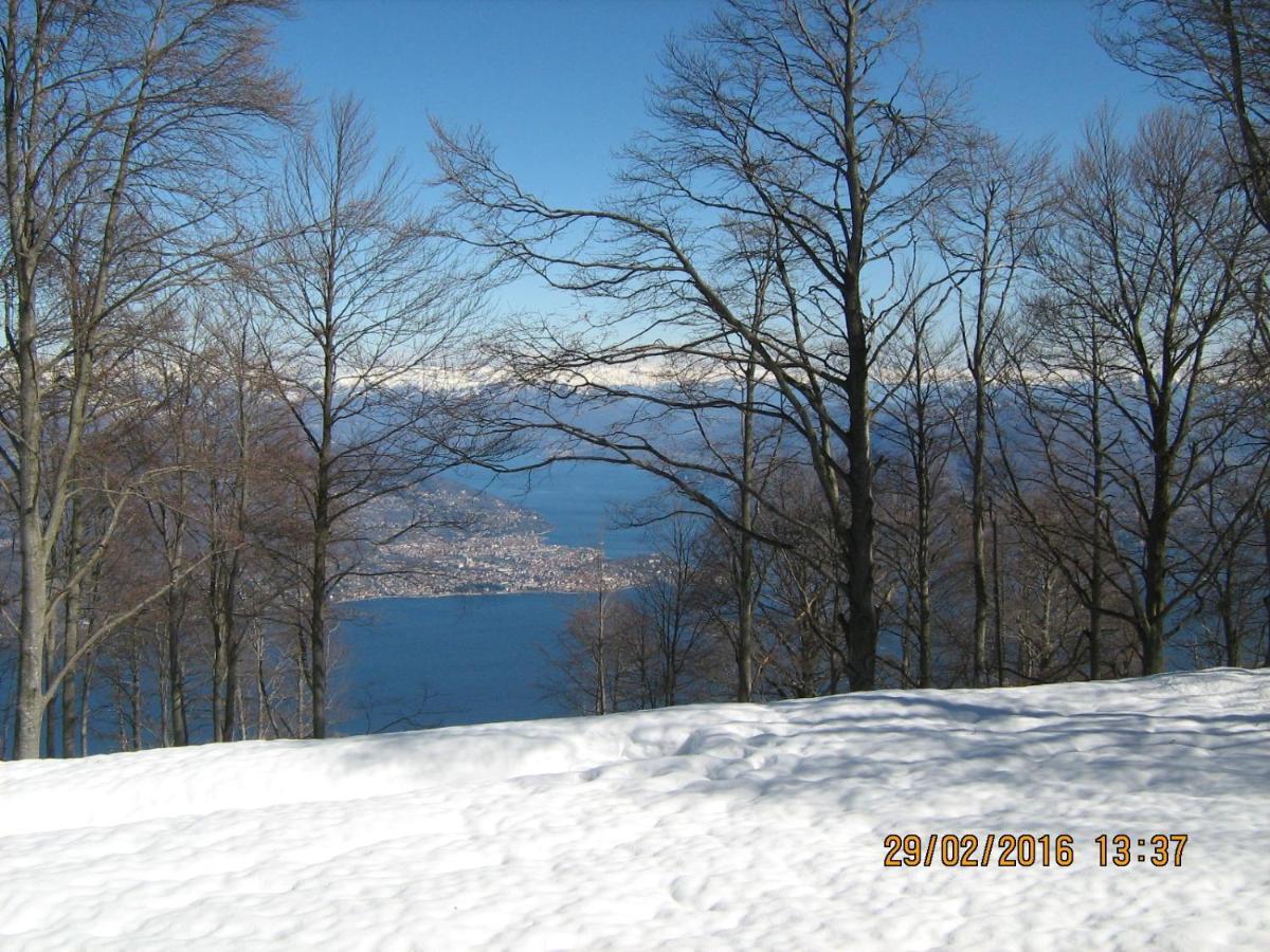 Massino Visconti Villa Magnolia Bb, Lago Maggiore المظهر الخارجي الصورة