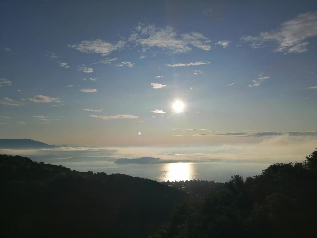 Massino Visconti Villa Magnolia Bb, Lago Maggiore المظهر الخارجي الصورة